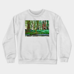 Muir Woods Study 11 Crewneck Sweatshirt